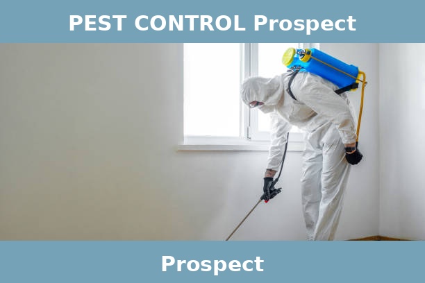 PEST CONTROL Prospect